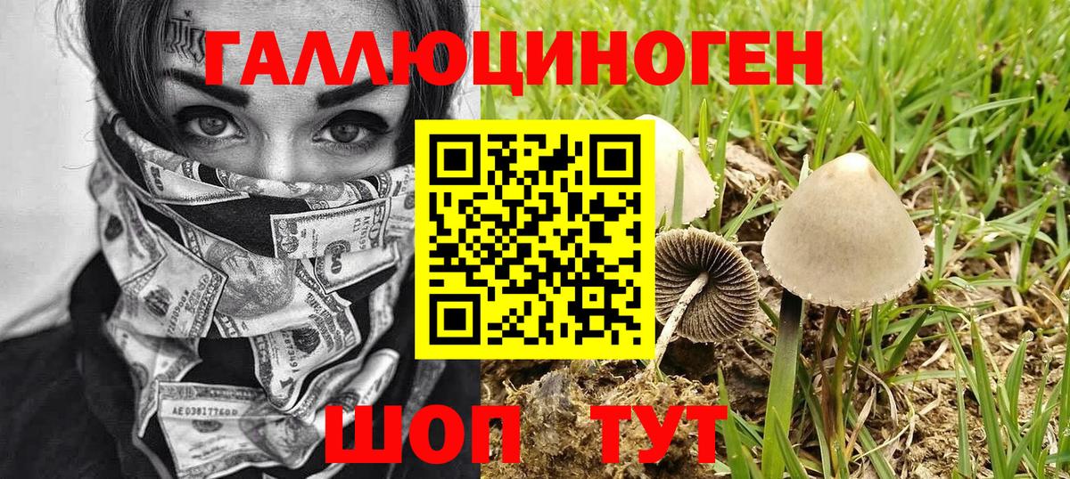 Кимры  Галлюциногенные грибы мухоморы  Вход с VPN  Псилоцибиновые грибы Psilocybe 